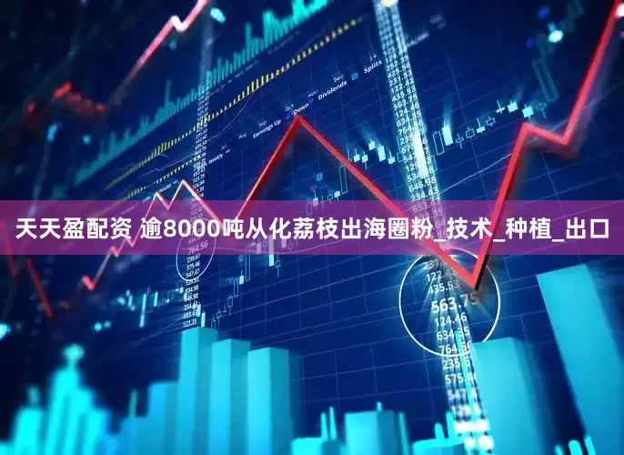 天天盈配资 逾8000吨从化荔枝出海圈粉_技术_种植_出口
