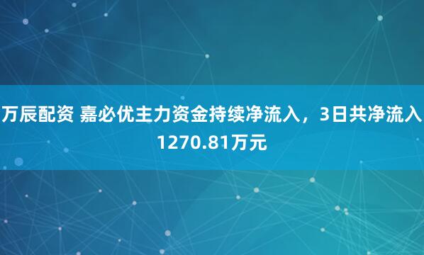 万辰配资 嘉必优主力资金持续净流入，3日共净流入1270.81万元