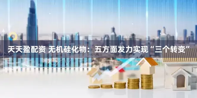 天天盈配资 无机硅化物：五方面发力实现“三个转变”