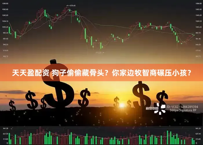 天天盈配资 狗子偷偷藏骨头？你家边牧智商碾压小孩？